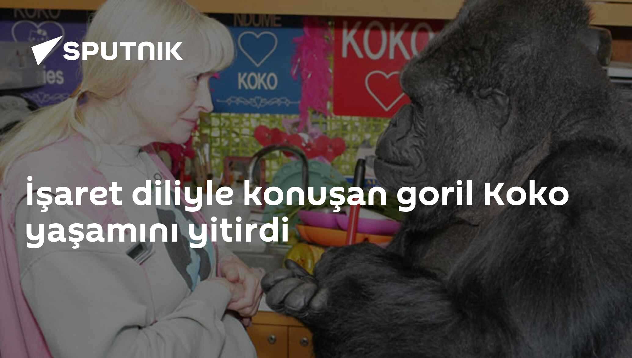 boşalma sikiş yüze göre saç modelleri programı indir
