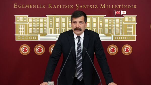 Erkan Baş - Sputnik Türkiye