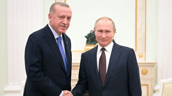 Recep Tayyip Erdoğan-Vladimir Putin  - Sputnik Türkiye