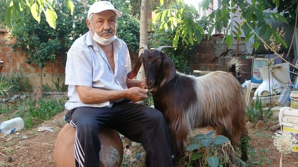 Yalnızlıktan sıkılınca sahiplendiği keçiyle dost oldu: ‘İnsanlardan bin kat daha iyi geldi’ - Sputnik Türkiye