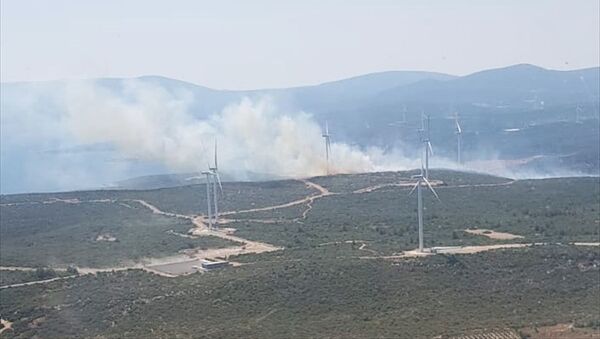 İzmir'de ikinci orman yangını - Sputnik Türkiye