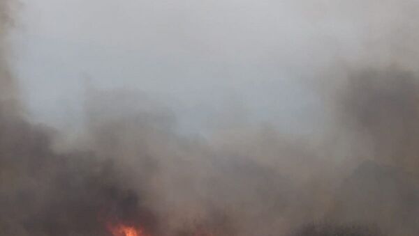 Bulgaristan sınırında çıkan orman yangını 2 gündür söndürülemezken, alevlerin Türkiye’ye sıçramasına 5 metre kaldı. - Sputnik Türkiye