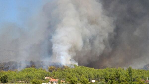 Antalya'da orman yangını - Sputnik Türkiye