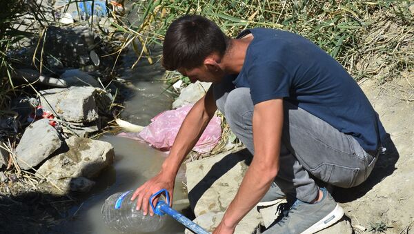 ‘Şifalı’ diye içilen suyun içinde yoğun miktarda bakteri tespit edildi - Muş - Sputnik Türkiye