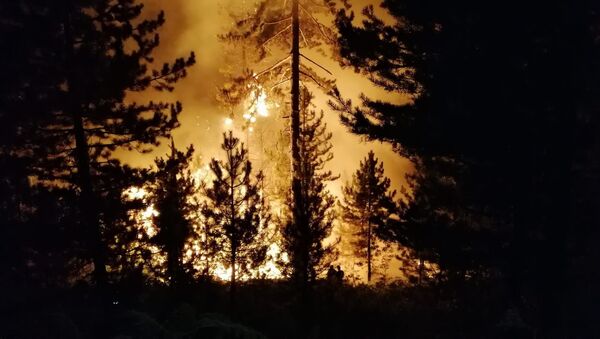 Bolu’nun Seben ilçesi Karca Kabak Yaylası mevkiinde ormanlık alanda yangın çıktı - Sputnik Türkiye