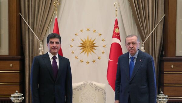Türkiye Cumhurbaşkanı Recep Tayyip Erdoğan, Irak Kürt Bölgesel Yönetimi (IKBY) Başkanı Neçirvan Barzani'yi kabul etti. - Sputnik Türkiye