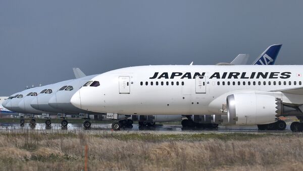Japonya HavaYolları(JAL) - Sputnik Türkiye