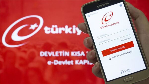  e-Devlet Kapısı uygulaması - Sputnik Türkiye