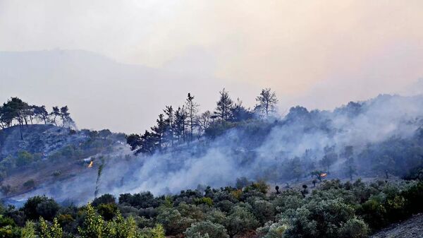 Suriye, orman yangını - Sputnik Türkiye