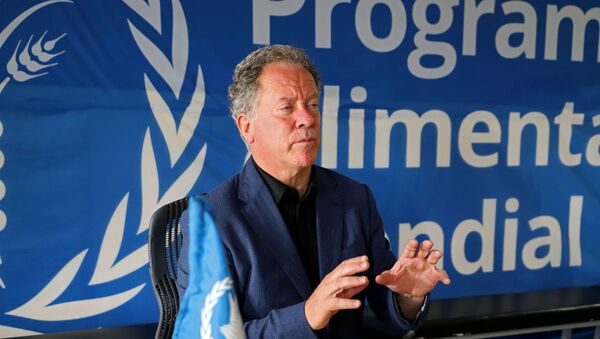 Nobel Barış Ödülü'ne layık görülen Birleşmiş Milletler (BM) Dünya Gıda Programı (WFP) Direktörü David Beasley - Sputnik Türkiye
