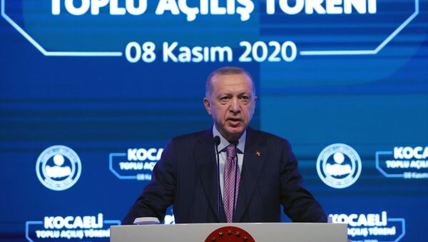 Recep Tayyip Erdoğan - Sputnik Türkiye