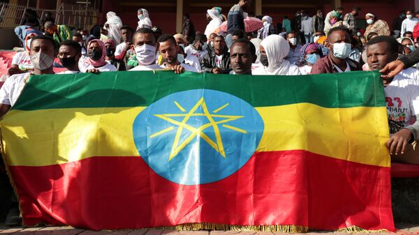 Tigray bölgesinde savaşan Etiyopya federal ordusunun yaralı askerlerine kan bağışı için Addis Ababa'daki stadyumda sıraya giren binlerce kişi, Etiyopya bayrağı tutarken  - Sputnik Türkiye