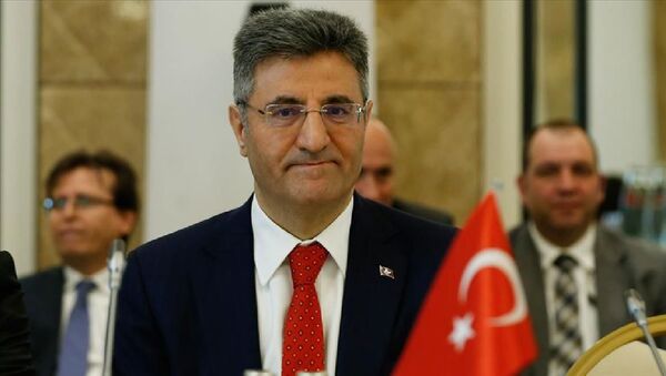 Ali Kemal Aydın - Sputnik Türkiye