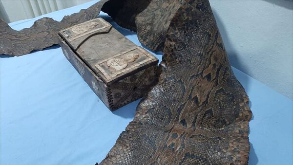 Üzerinde İbranice yazılar bulunan 3 buçuk metrelik tarihi yılan derisi ele geçirildi - Sputnik Türkiye