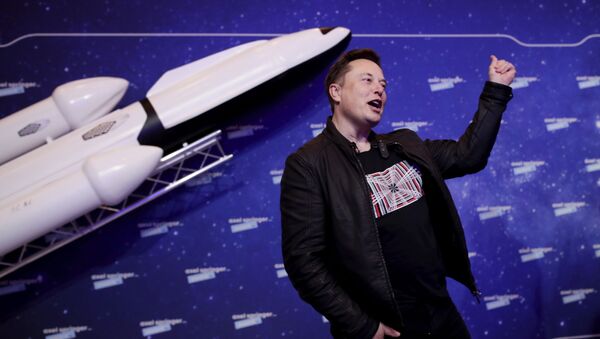 Elon Musk - Sputnik Türkiye