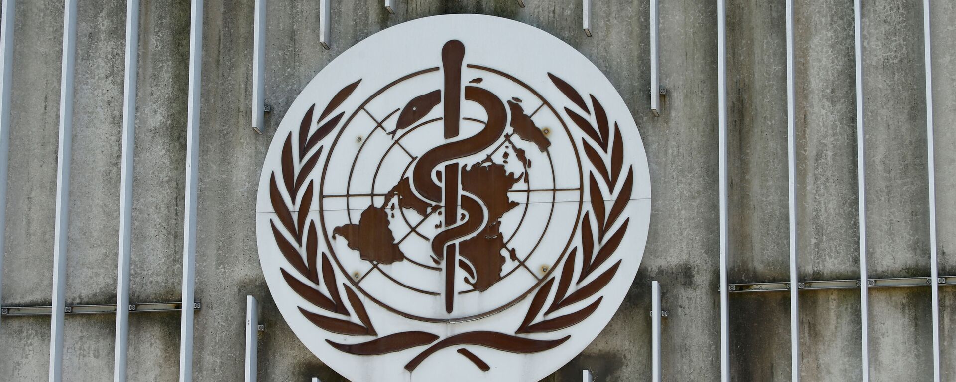Dünya Sağlık Örgütü (DSÖ) - Sputnik Türkiye, 1920, 26.10.2021