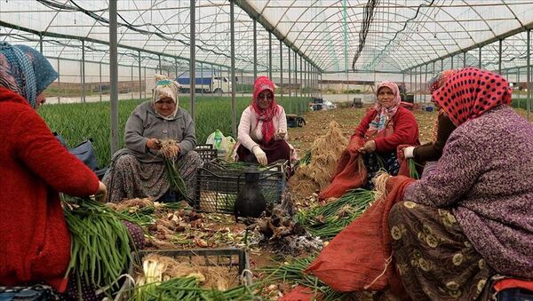 Kadın çiftçi - Sputnik Türkiye