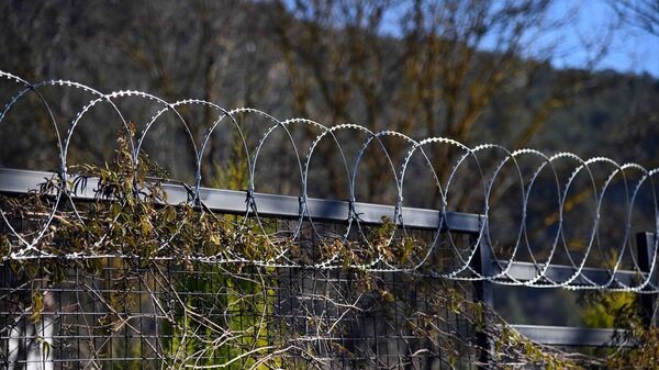 Fethiye`de hayvanlara zarar verdiği için bahçelere jiletli tel çekilmesi yasaklandı - Sputnik Türkiye