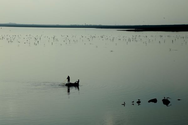 Baraj gölü üzerinde teknelerinde balık avlayan balıkçılar ve uçuşan martılar tabloluk görüntüler oluşturuyor.  - Sputnik Türkiye