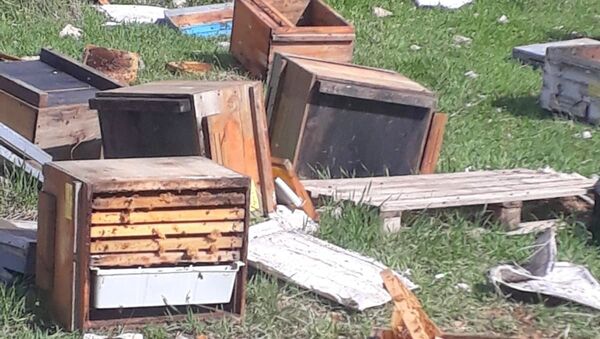 Hakkari’nin Çukurca ilçesinde kış uykusundan uyanan ayılar, 150 arı kovanına zarar verdi. - Sputnik Türkiye