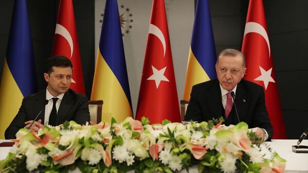 Erdoğan - Zelenskiy - Sputnik Türkiye