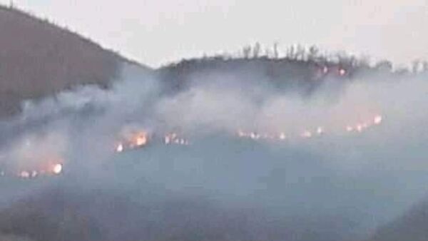 İzmir'in Ödemiş ilçesindeki dağlık alanda çıkan yangın kontrol altına alındı. - Sputnik Türkiye