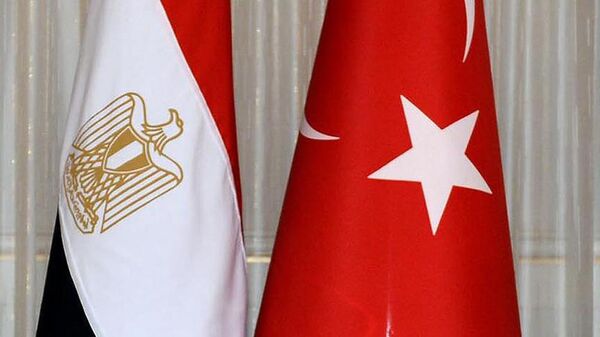 Türkiye Mısır bayrakları - Sputnik Türkiye