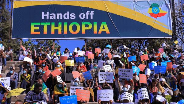 Etiyopya başkenti Addis Ababa'da ABD'yi protesto gösterisi - Sputnik Türkiye