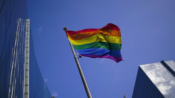 LGBT Bayrağı - Sputnik Türkiye