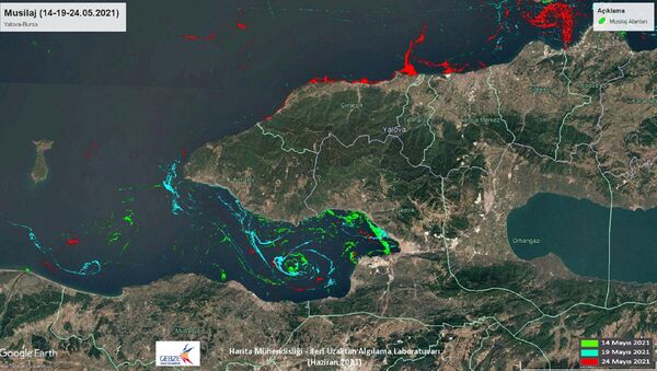 Marmara Denizi'ndeki müsilajın yoğunluk haritası çıkarıldı - Sputnik Türkiye
