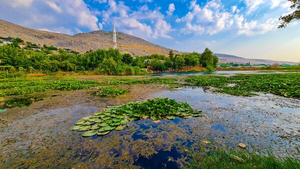 Kahramanmaraş'ta bulunan Nilüfer Gölü ve çevresinde bulunan nilüfer çiçeği kirlilik nedeniyle yok olma tehlikesi karşı karşıya kalırken, gölün koruma altına alınması istendi. - Sputnik Türkiye