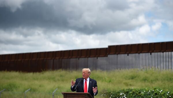 Eski ABD Başkanı Donald Trump Teksas’ta, Teksas valisi Greg Abbott ile Rio Grande’de ile inşaatı yarım kalmış olan sınır duvarı önünde konuştu. - Sputnik Türkiye