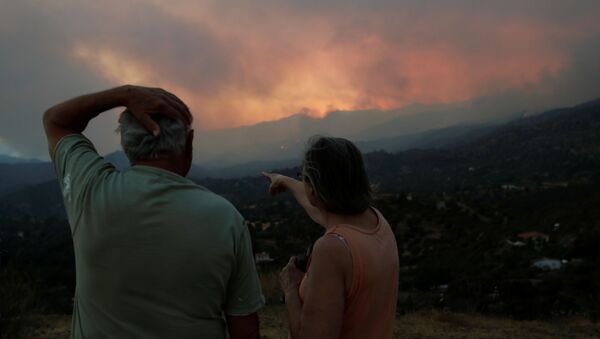 Güney Kıbrıs'ta Larnaka'nın ormanlık bölgesine yayılan yangına endişeyle bakan bir çift (3 Temmuz 2021) - Sputnik Türkiye