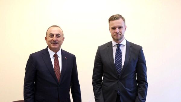 Litvanya Dışişleri Bakanı Gabrielius Landsbergis, Dışişleri Bakanı Mevlüt Çavuşoğlu - Sputnik Türkiye
