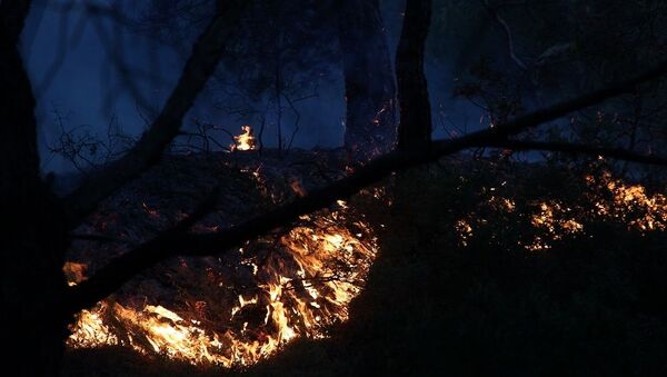 Foça, orman yangını - Sputnik Türkiye