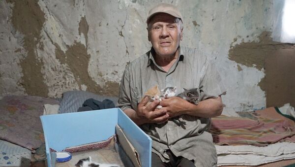 Kastamonu barakasını kedilerle paylaşan 68 yaşındaki Nazmi Özsoy - Sputnik Türkiye