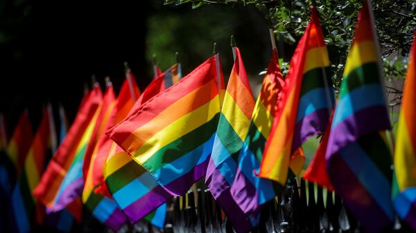 LGBT bayrağı - Sputnik Türkiye