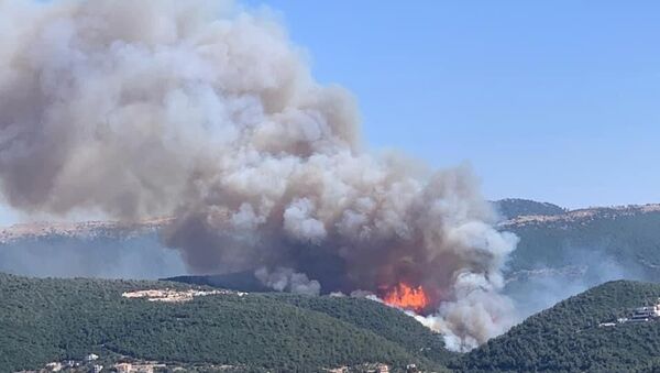 Lübnan'da orman yangını: Evlere ve çiftliklere sıçradı - Sputnik Türkiye