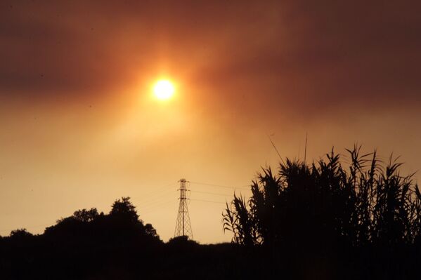 Orman yangını sırasında çıkan yoğun duman güneş ışıklarını engelledi. - Sputnik Türkiye