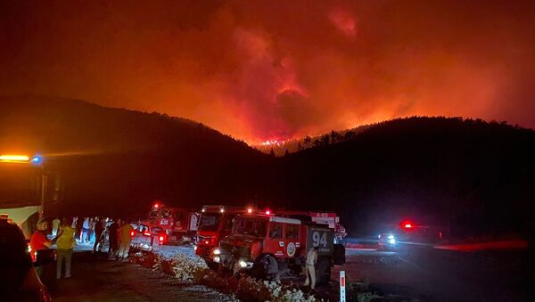Milas’ın Beyciler Mahallesi’nde başlayan orman yangını, Bodrum’a sıçradı - Sputnik Türkiye