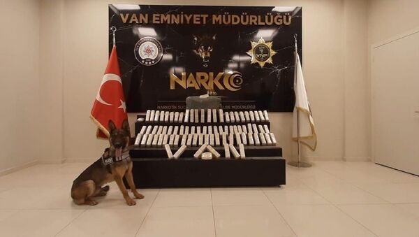 Van'da 42 kilo eroin ele geçirildi - Sputnik Türkiye