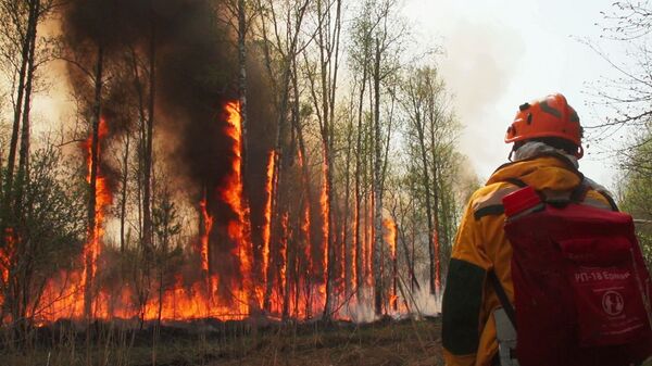 Yakutistan’da acil durum ilan edildi: Orman yangınları yerleşim yerlerine sıçradı - Sputnik Türkiye