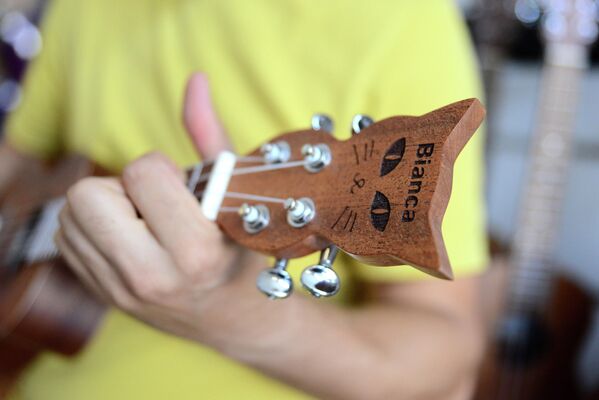 Kaybolan kedisinin anısına özel tasarımlı ukulele üretti - Sputnik Türkiye