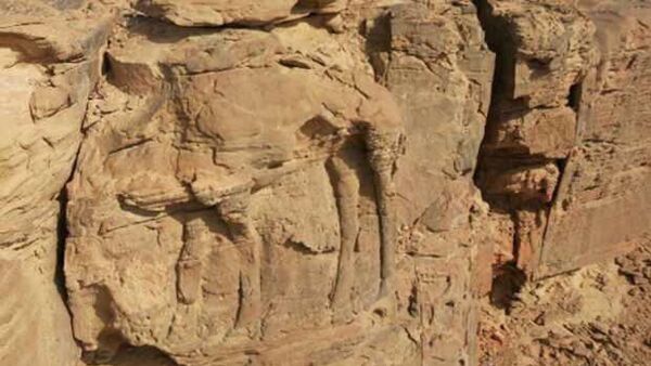 Suudi Arabistan'da kayalara kazınmış deve figürleri 8 bin yıllık çıktı - Sputnik Türkiye