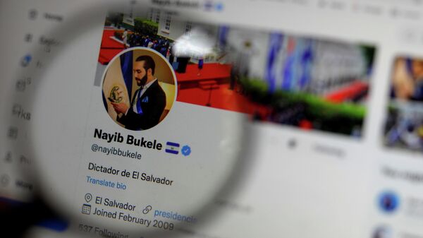 Nayib Bukele - Sputnik Türkiye