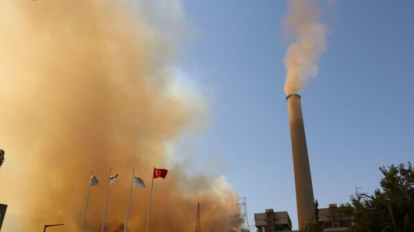 Milas'ta etkili olan yangınlar Kemerköy Termik Santrali'ne yaklaştı. - Sputnik Türkiye