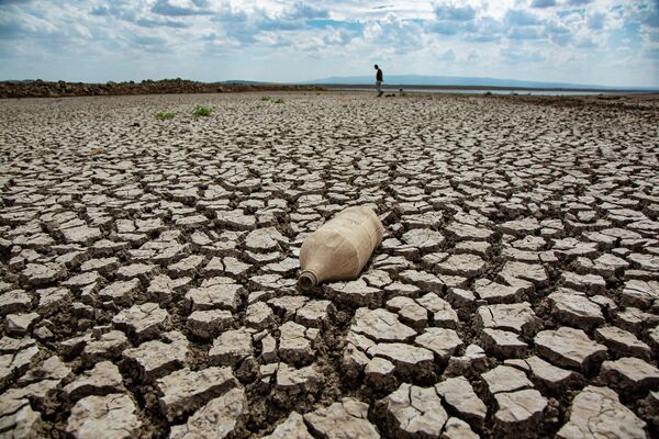 WWF-Türkiye’nin (Doğal Hayatı Koruma Vakfı) açıkladığı küresel ölçekte yüksek su riski taşıyan illerden biri olan Diyarbakır’da, kuraklık hem baraj sularını hem de tarım ve hayvancılığı vurdu. Kentte bulunan barajların su seviyesi 200 metreye yakın çekildi. - Sputnik Türkiye