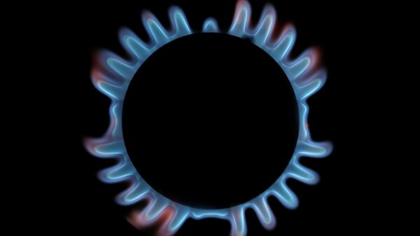 Doğalgaz- Ocak - Sputnik Türkiye