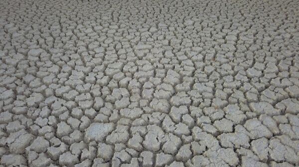 Arin Gölü, kuraklık nedeniyle yüzde 15 küçüldü
 - Sputnik Türkiye