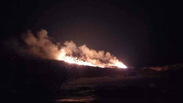 Bodrum'daki yangında 2 dönüm alan zarar gördü - Sputnik Türkiye